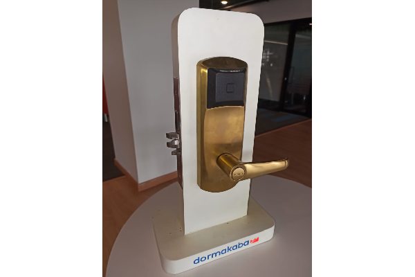 Electronic Locks